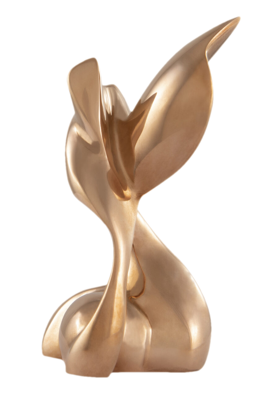 Original bronze abstract sculpture by Reza Mikaeilzadeh